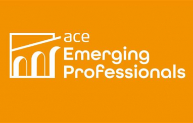 The ACE emerging professionals network gets set for mentoring webinar on 27 August.