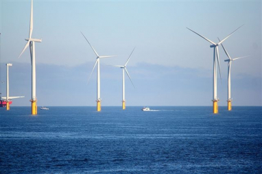 An offshore wind farm in Redcar on Teesside.