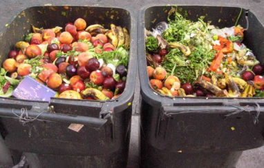 The strategy includes recommendations for weekly collection of food waste for households and appropriate businesses.