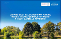 Atkins and Water Industry Forum launch paper on driving best value decision-making using a multi-capitals approach.