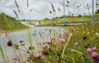 National Highways’ plans put roads at the heart of Britain’s net zero future. 