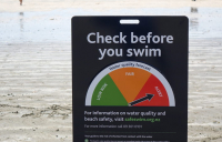 Auckland Council and Mott MacDonald worked together to develop a digital twin of local beaches.